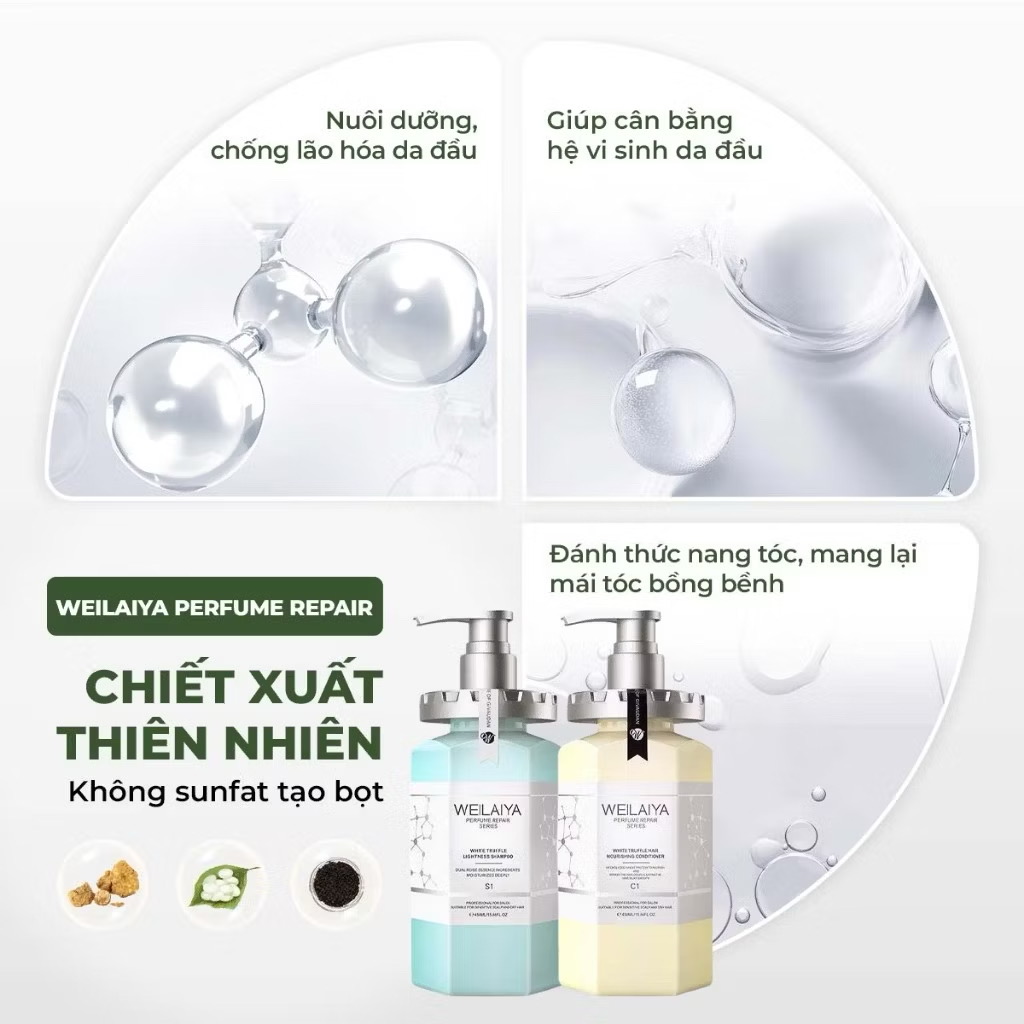 ￼Cặp dầu gội xả phục hồi tóc Weilaiya chiết xuất nấm Truffle chống lão hóa da đầu 450ml/chai 